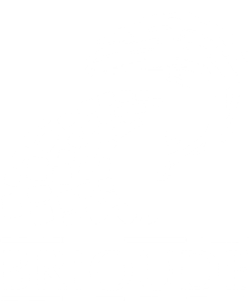 Ville de Brioude